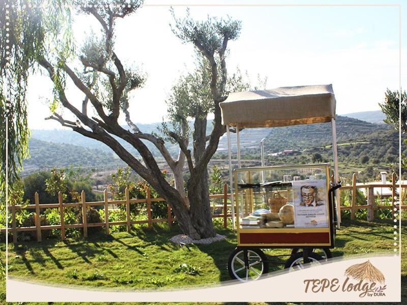 Tepe Lodge Çeşme Eksteriør billede