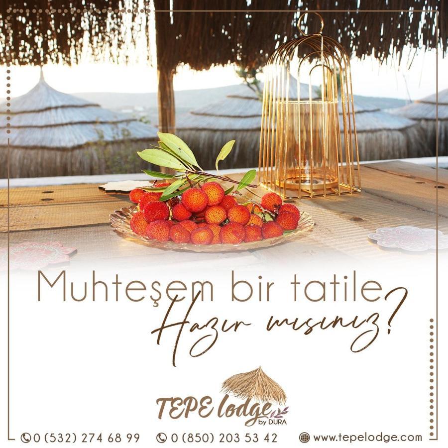 Tepe Lodge Çeşme Eksteriør billede