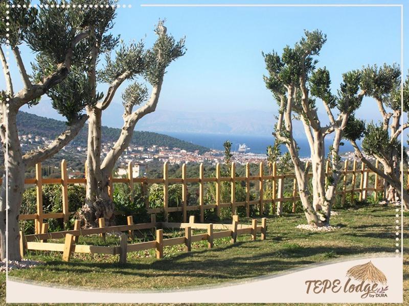Tepe Lodge Çeşme Eksteriør billede